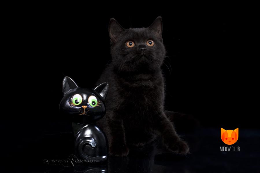 Есения