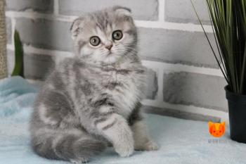Karissa MeowСlub *BY